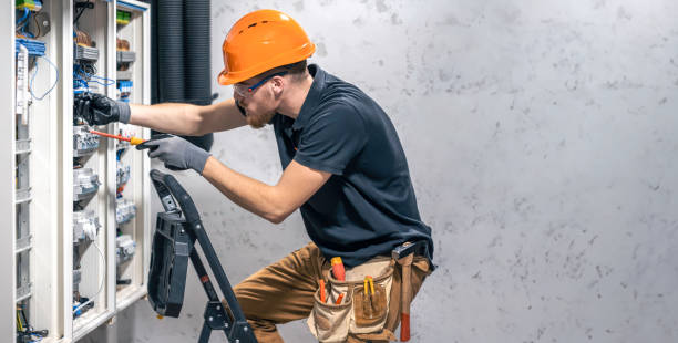 Best Electric Panel Repair  in Buffalo Grove, IL